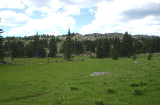 Trail leads into large meadows beside Sheep Rock, Sheep Rock trail 2010-07.